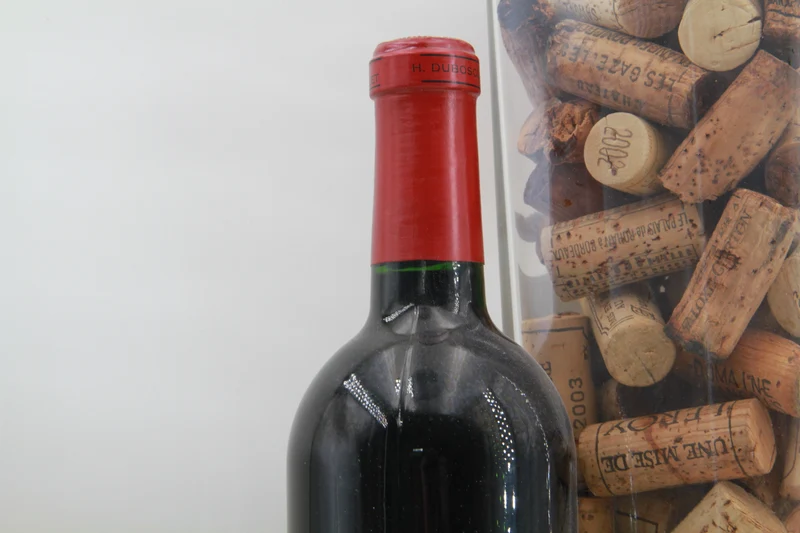 Chateau Haut-Marbuzet Saint Éstephe 2000