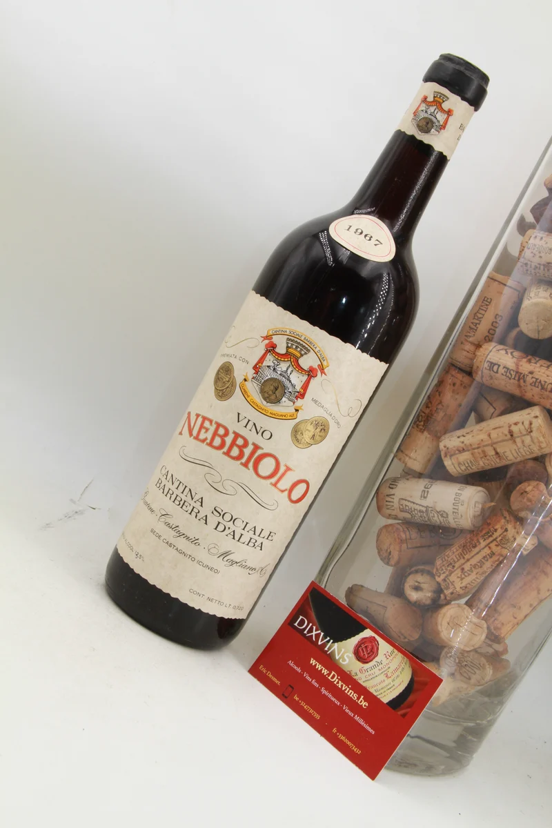 Nebbiolo D'Alba 1967. Cantina Sociale Del Barbera d'Alba