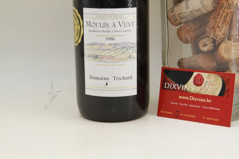 Moulin a Vent 1996 Domaine Trichard