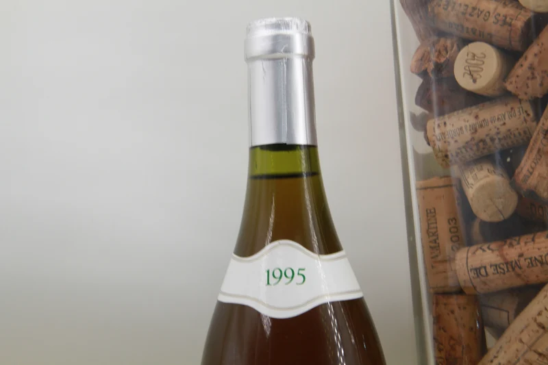 Chablis 1er Cru "Les Beauregards" 1995. B Capdevigne