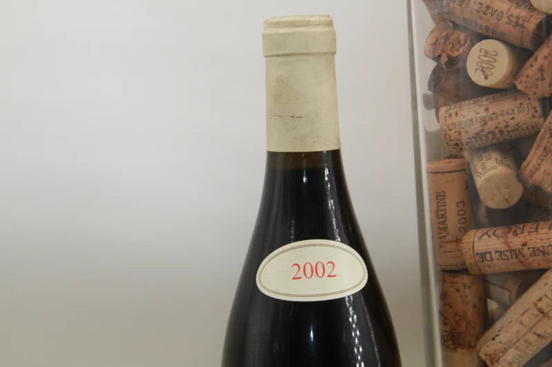 Vougeot "Clos Du Village" Leymarie. 2002