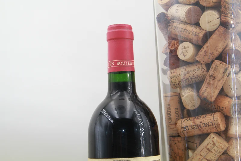 Chateau Duluc Saint Julien. 1997