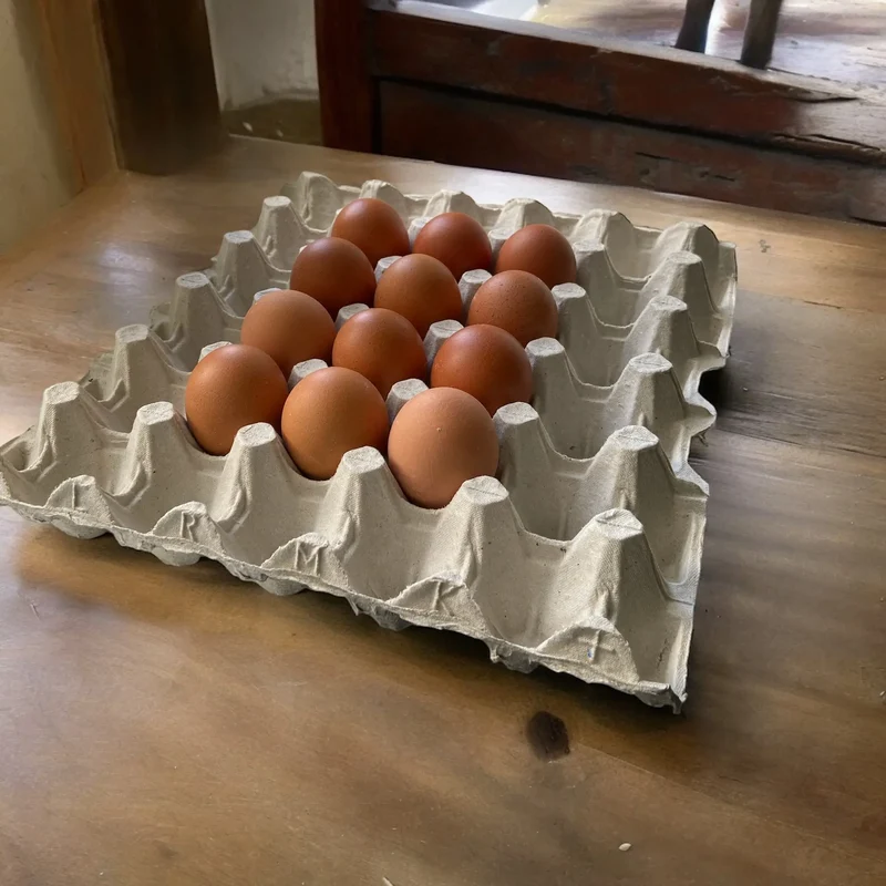 Oeufs - 63/73 - Poule au sol plein air - quantité 12
