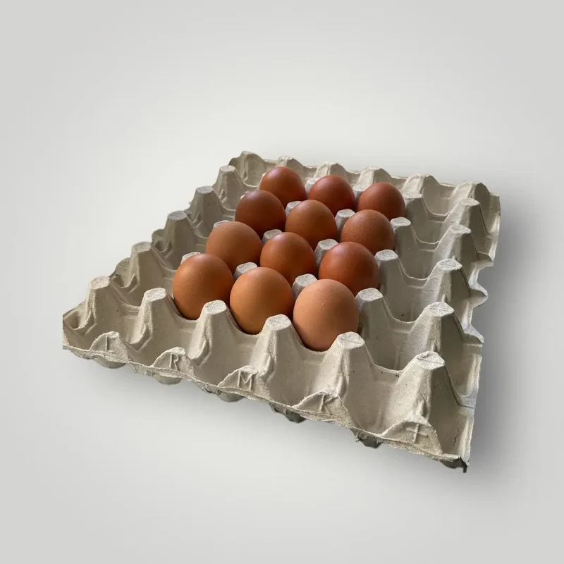 Oeufs - 63/73 - Poule au sol plein air - quantité 12