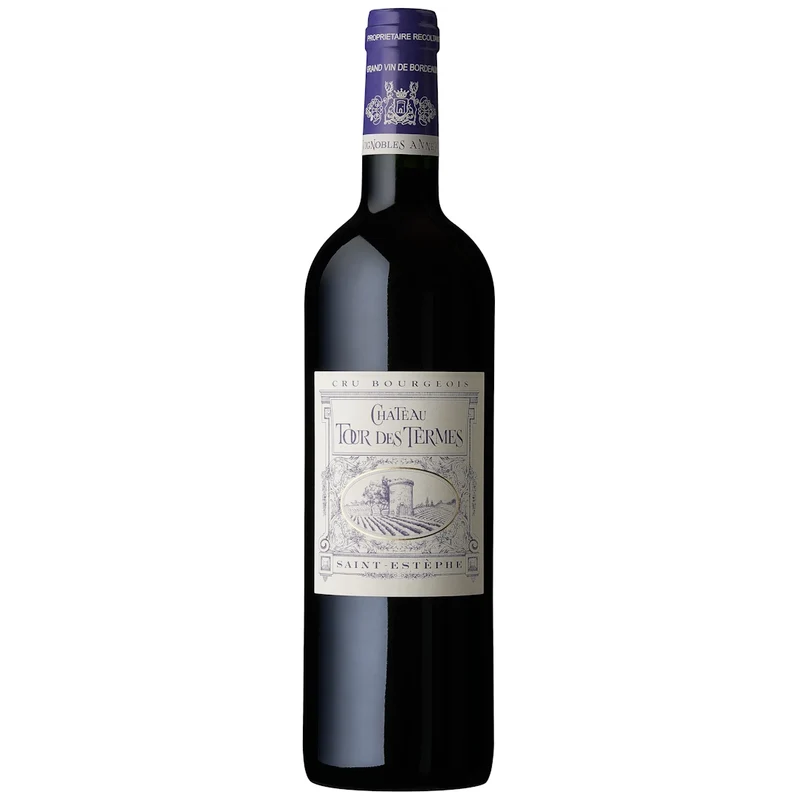 Château Tour des Termes