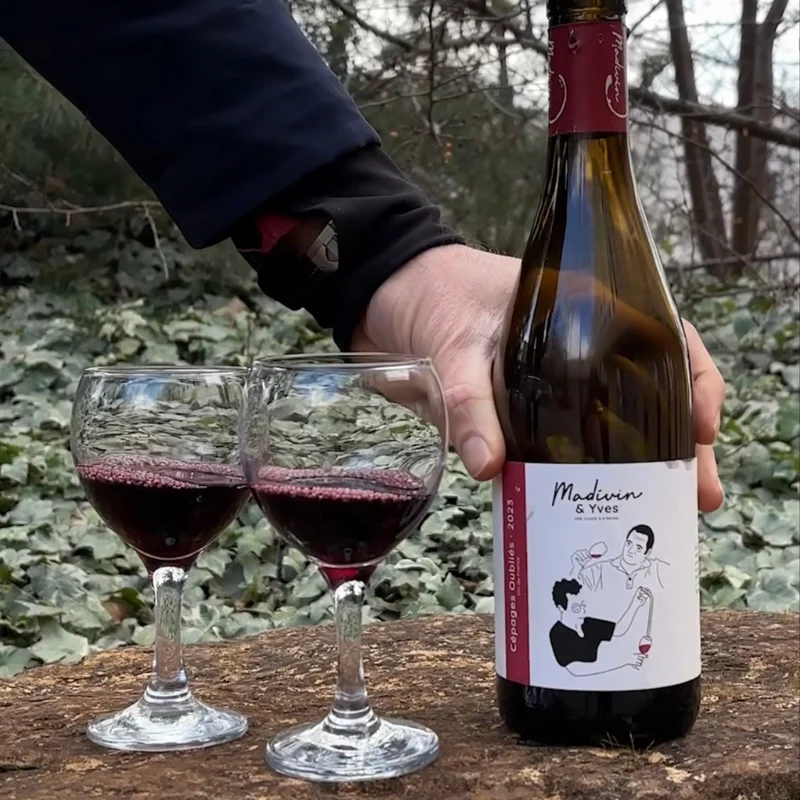 Vin Rouge | Cépages oubliés, Vallée du Rhône, Vin de France 2024 | Yves | 75cl