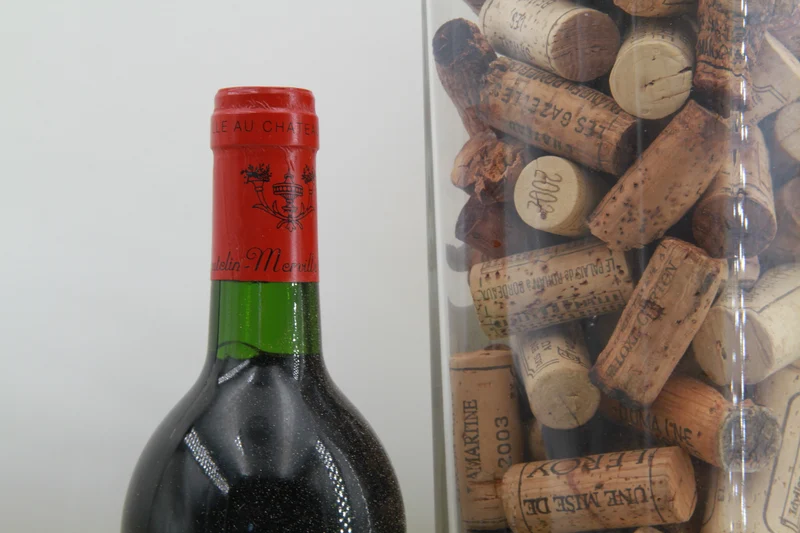 Chateau Coutelin-Merville Cru Bourgeois Saint Éstephe 1996