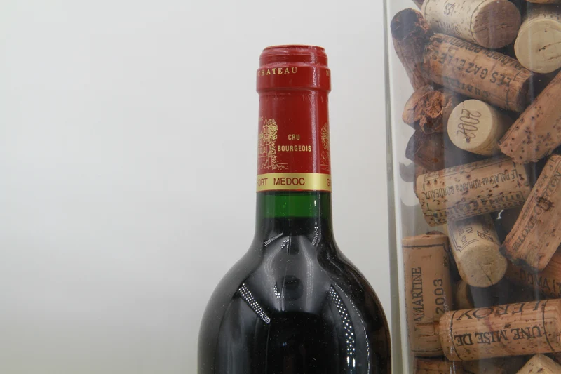 Chateau Camino Salva Cru Bourgeois Haut Médoc 1996