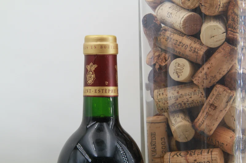 Chateau Balangé Saint Estephe 1996