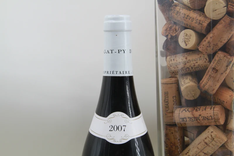 Gevrey Chambertin "Les Evocelles "Vielles Vignes Dugat Py 2007