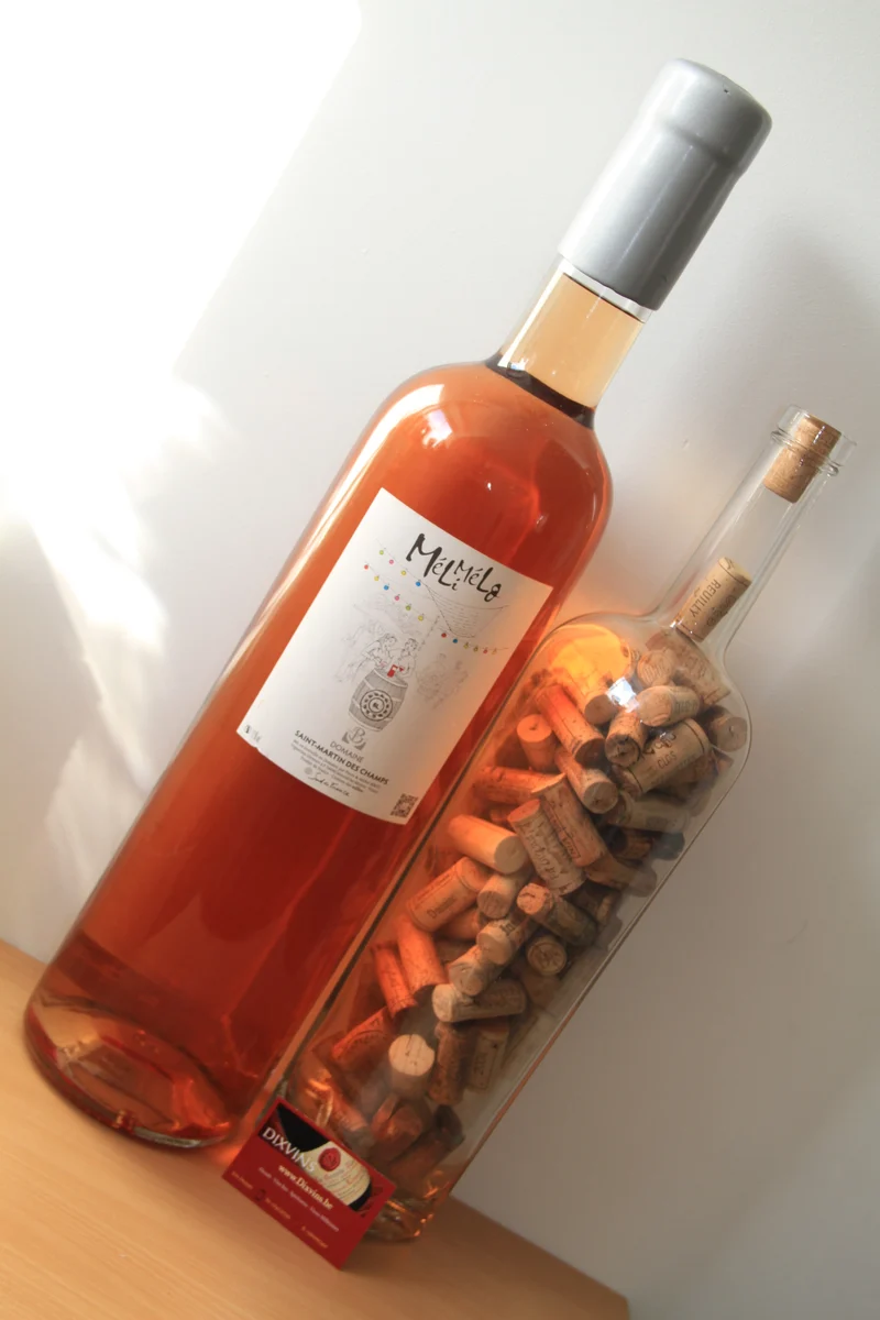 DOMAINE SAINT MARTIN DES CHAMPS - MÉLI MÉLO - ROSÉ 2020 - Imperial. 6 Lts