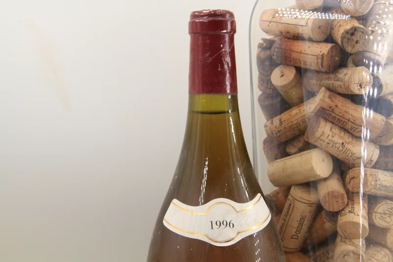 - Bourgogne Hautes Cotes De Nuits " Les Jiromées **1996 ** Magnum 1,5L. Domaine de Montmain