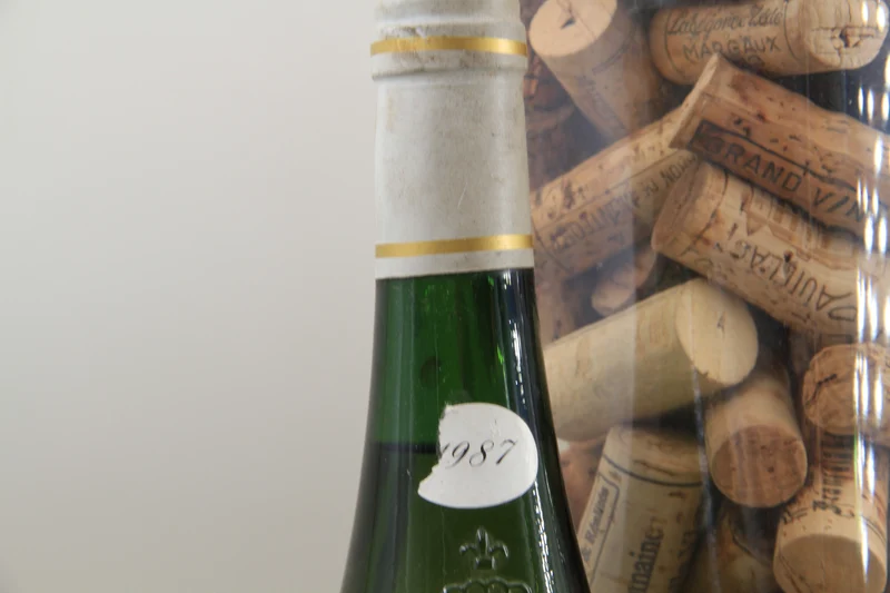 - Anjou "sec" Domaine de la Soucherie ** 1987 ** Domaine Yves Tijou