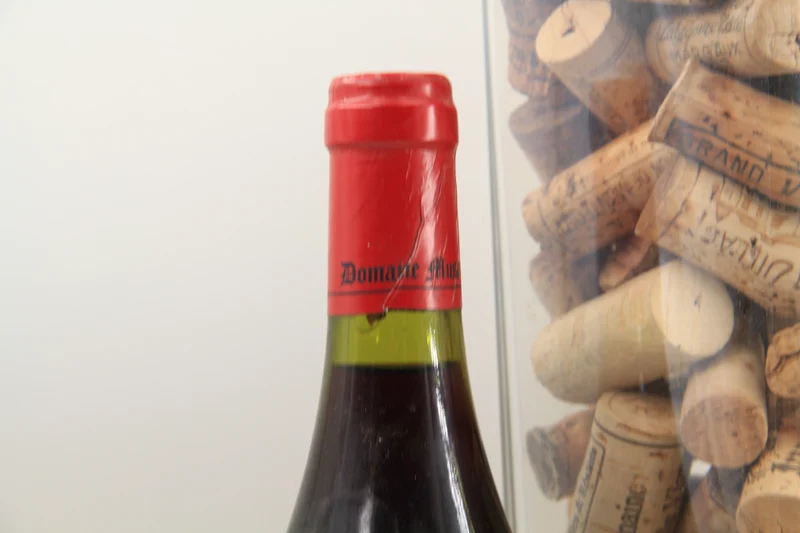 - Pommard Pézerolles 1er Cru ** 2004 ** Domaine Mussy