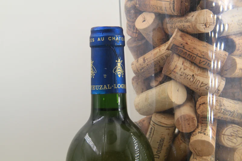 - Chateau De Fieuzal ** 1996 ** Pessac Léognan