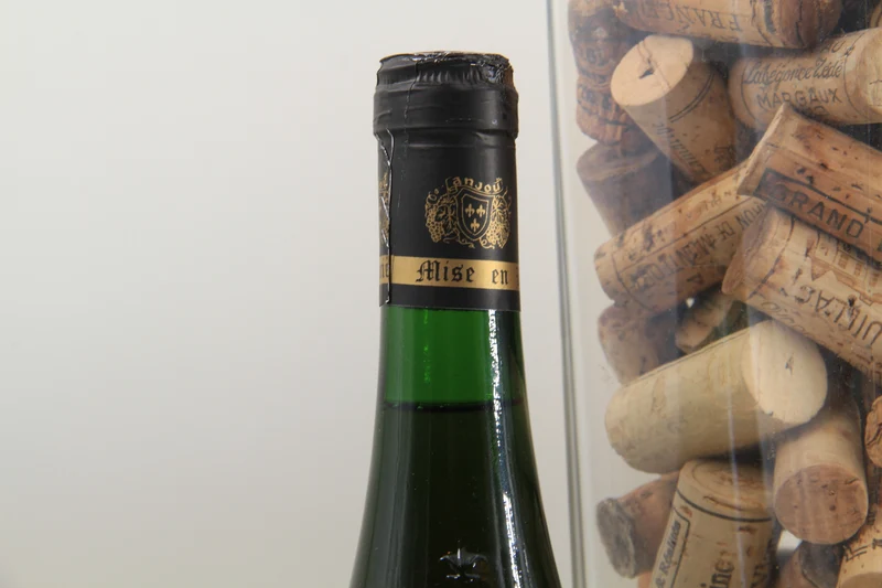 - Savennières "Roche Aux Moines ** 1995 ** Chevalier Buhard