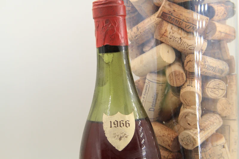 - Mazys-Chambertin **1966** Bizot