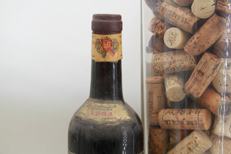 Barbera Del Piemonte 1964