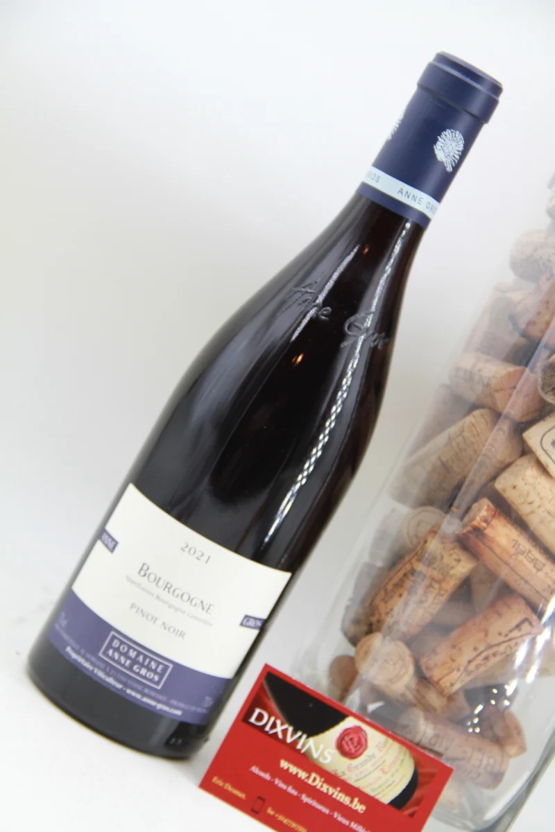 Bourgogne 'Pinot noir ' Domaine Anne Gros 2021