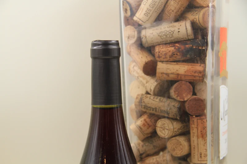 Cuvée Roger "Trousseau" ** 2017 ** Domaine de La Loue