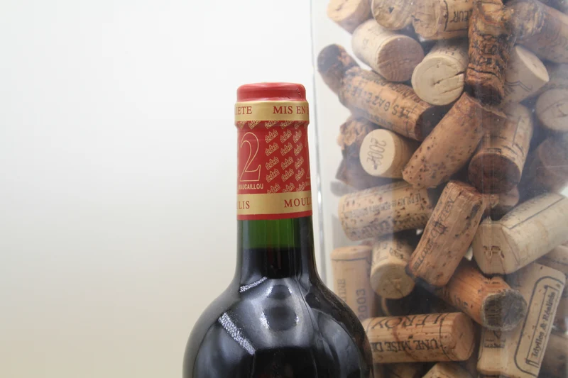 Chateau Maucillou N2 **2010** Moulis