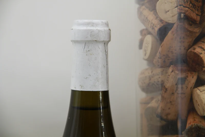 2001 Bourgogne Les Violettes Domaine Bizot