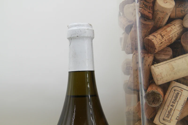 2000 Bourgogne Les Violettes Domaine Bizot