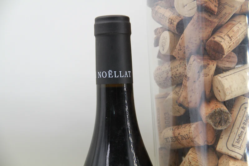 Morey Saint Denis Domaine Michel Noéllat 2015