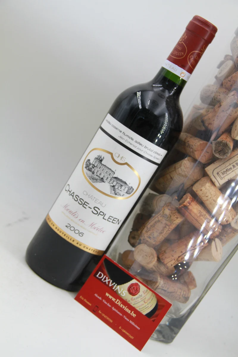 Chateau Chasse Spleen 2006 Moulis en Médoc