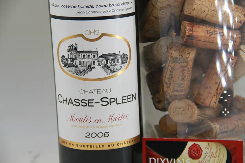 Chateau Chasse Spleen 2006 Moulis en Médoc
