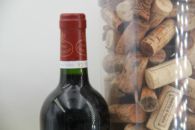 Chateau Chasse Spleen 2006 Moulis en Médoc