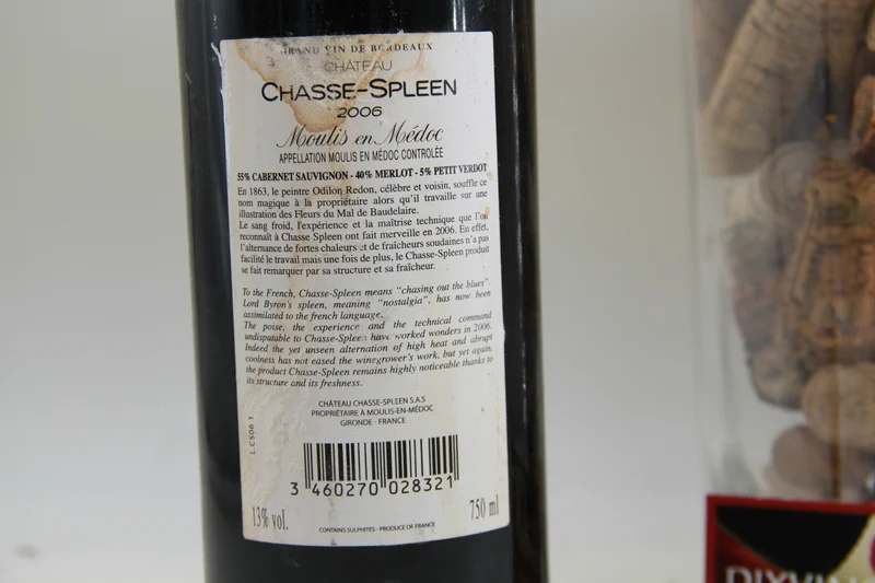 Chateau Chasse Spleen 2006 Moulis en Médoc