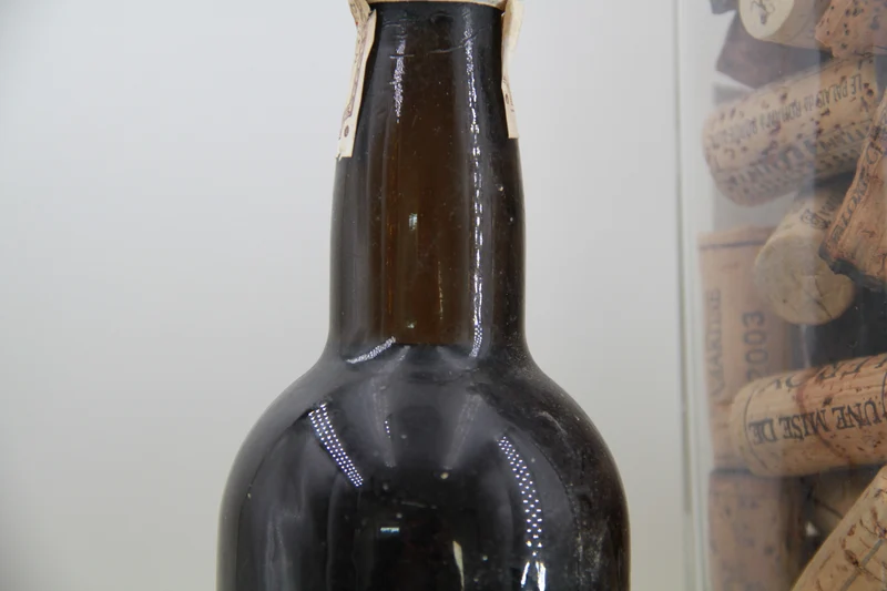 Sherry 'Golden Cream' Wisdom