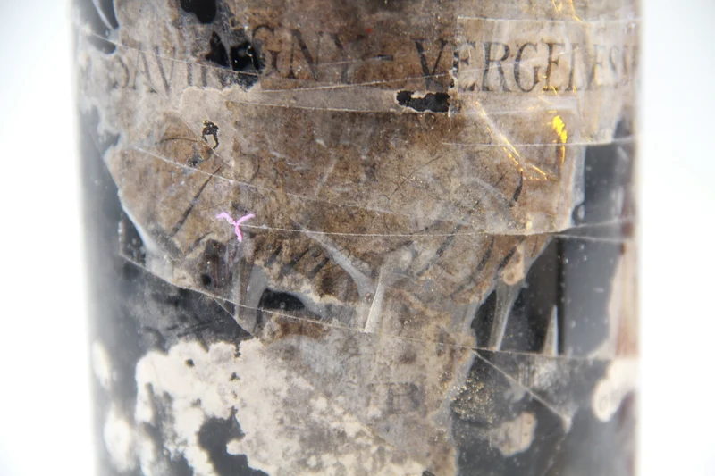 Savigny Vergelesses 1er Cru ** 1919 ** Domaine Louis Latour