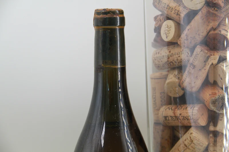- Domaine du Moulin 2017 Coteaux du Layon Excellence