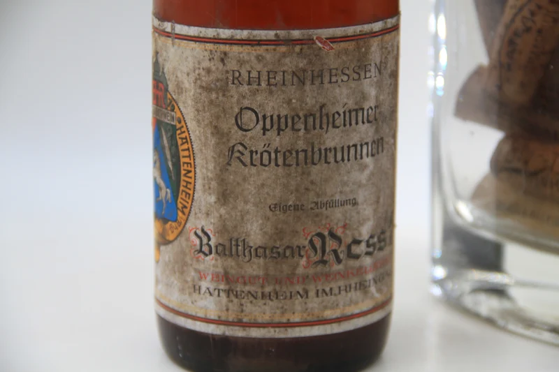 Oppenheimer Krötenbrunnen Rheinhessen ** 1969 ** Balthasar Ress