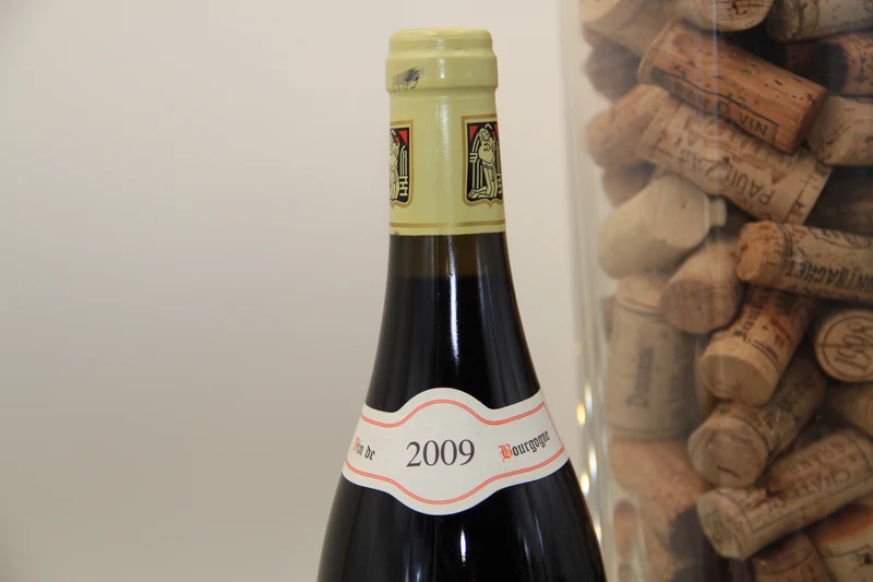 - Pommard 1er Cru " Les Plantières" **2009 ** G Prieur