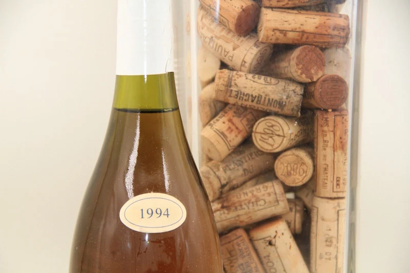 Bourgogne Hautes Cotes De Beaune ** 1994 ** Domaine Henri Delagrange
