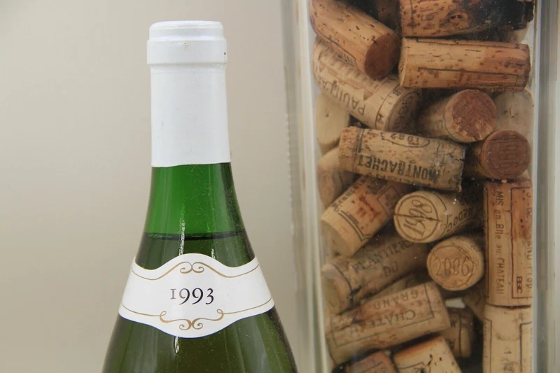 Pouilly Fumé ** 1993 ** Domaine du Petit Boisgibaut