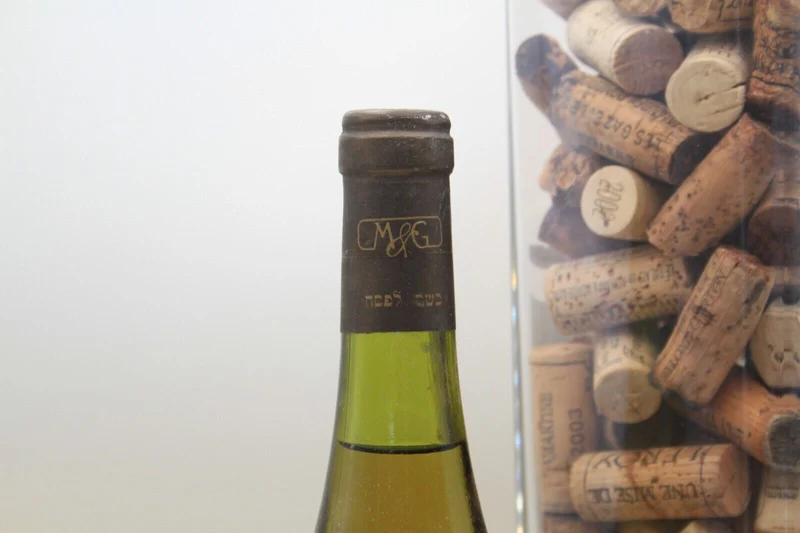 - Chablis 1er Cru " Montmain " **1988** Domaine Race