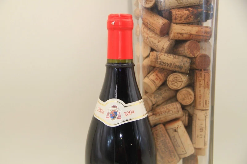 Gigondas **2004** Chateau Saint André