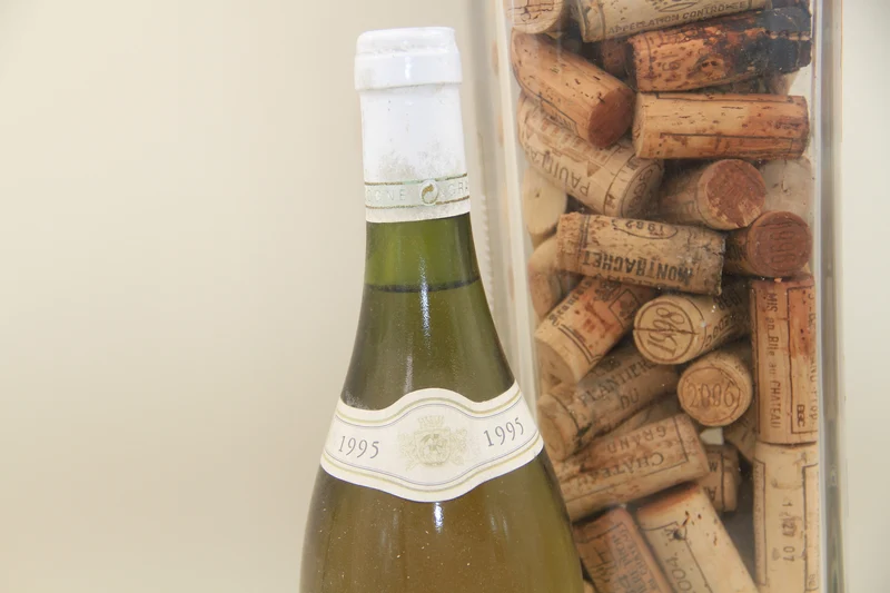 -Beaune Clos Des Capucins " **1995** JL Aegerter