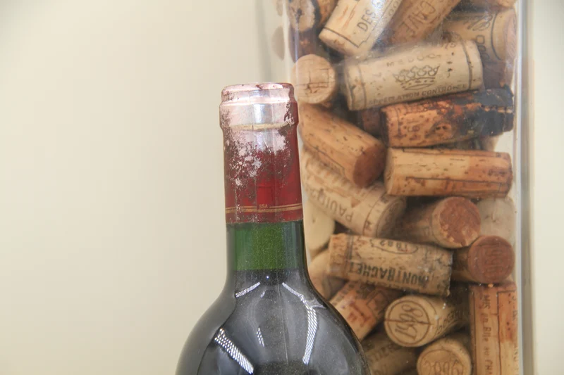 Chateau Bessan Ségur **1995 ** Cru Bourgeois medoc