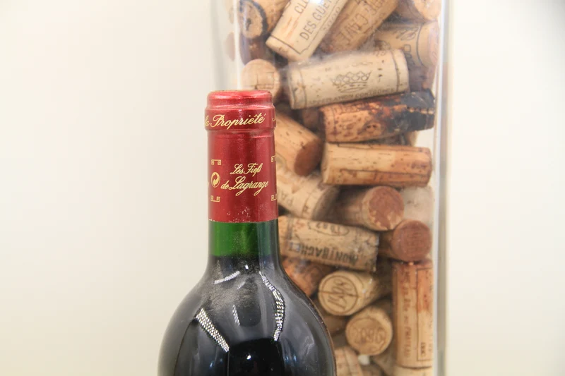 Les Fiefs de Lagrange **1993** Saint Julien