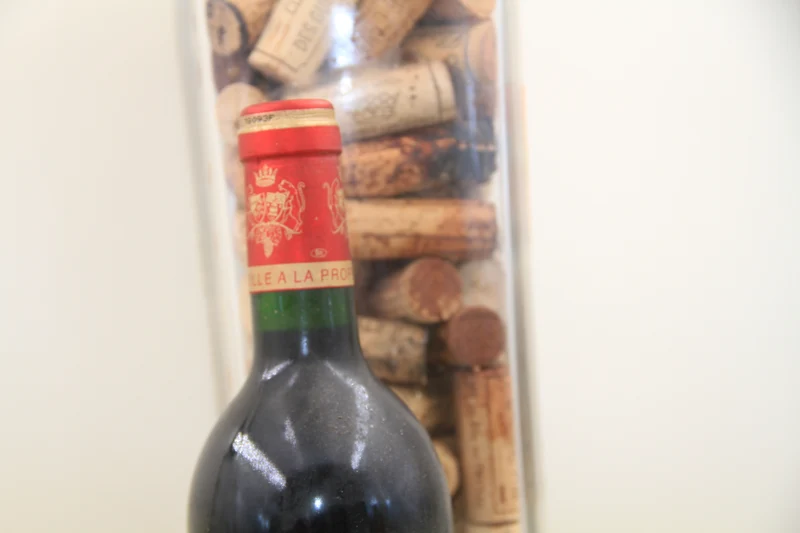 -Cotes Rocheuses **1993** Grand Cru Saint Emilion