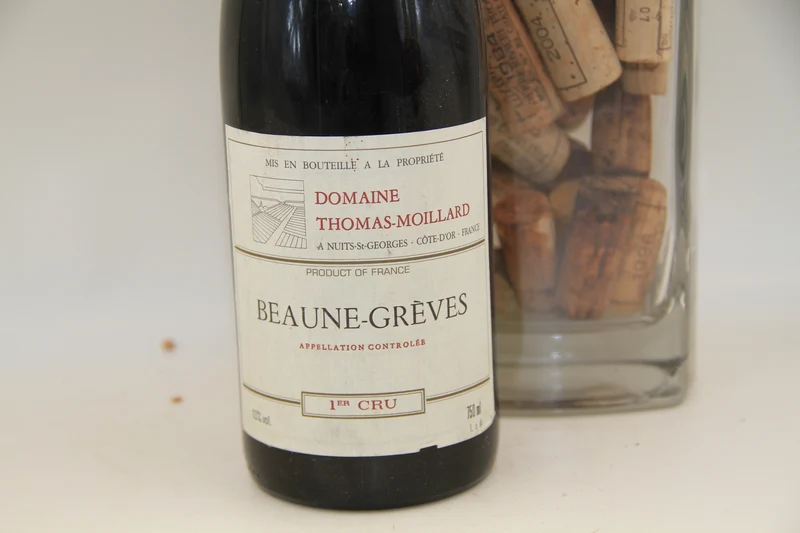 - Beaune Grèves 1er Cru **1993** Domaine Thomas Moillard