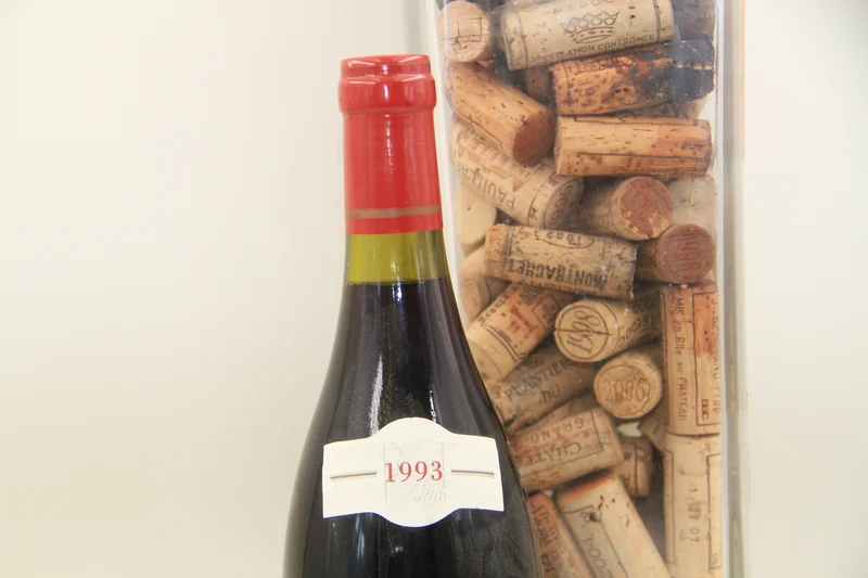 - Beaune Grèves 1er Cru **1993** Domaine Thomas Moillard