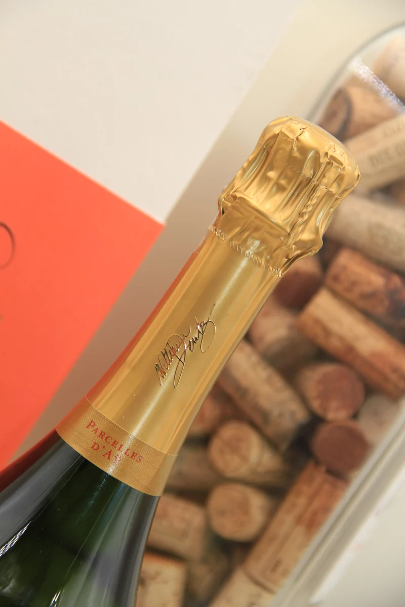 Champagne Brut Hommage à William Deutz **2010 **parcelle D'Ay