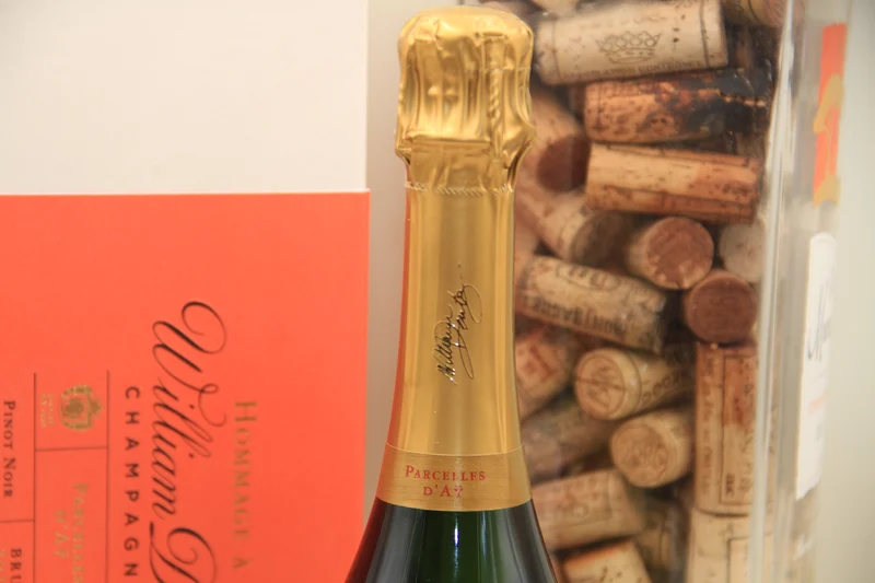 Champagne Brut Hommage à William Deutz **2010 **parcelle D'Ay