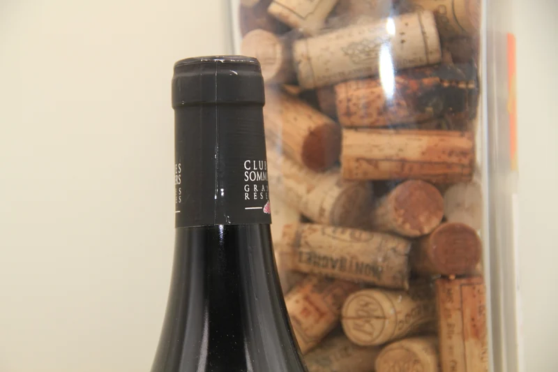 Gevrey Chambertin ** 2017** Geantet-Pansiot